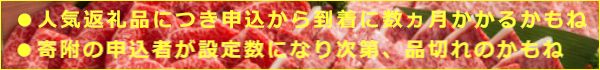 ふるさと納税お肉おすすめ品