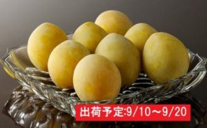 最高級大玉プラム「光李（ひかり）」約2kg 大江町産