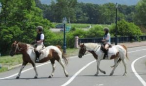 乗馬体験60分×2名 初心者向け放牧地コース