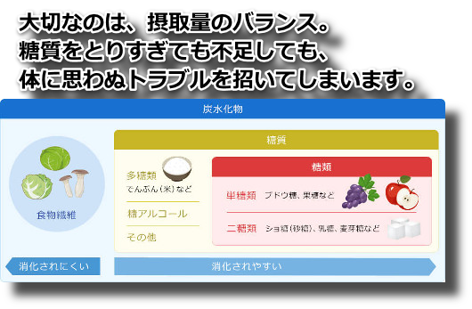 糖質って本当は何？