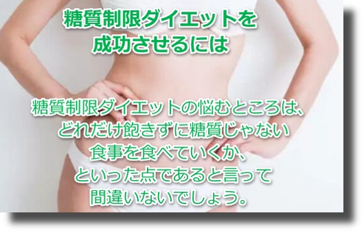 最初の1～2週間で早くも痩せて糖質制限食でリバウンドなし