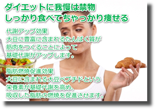 続けやすく我慢しないストレスのない食事制限で痩せる